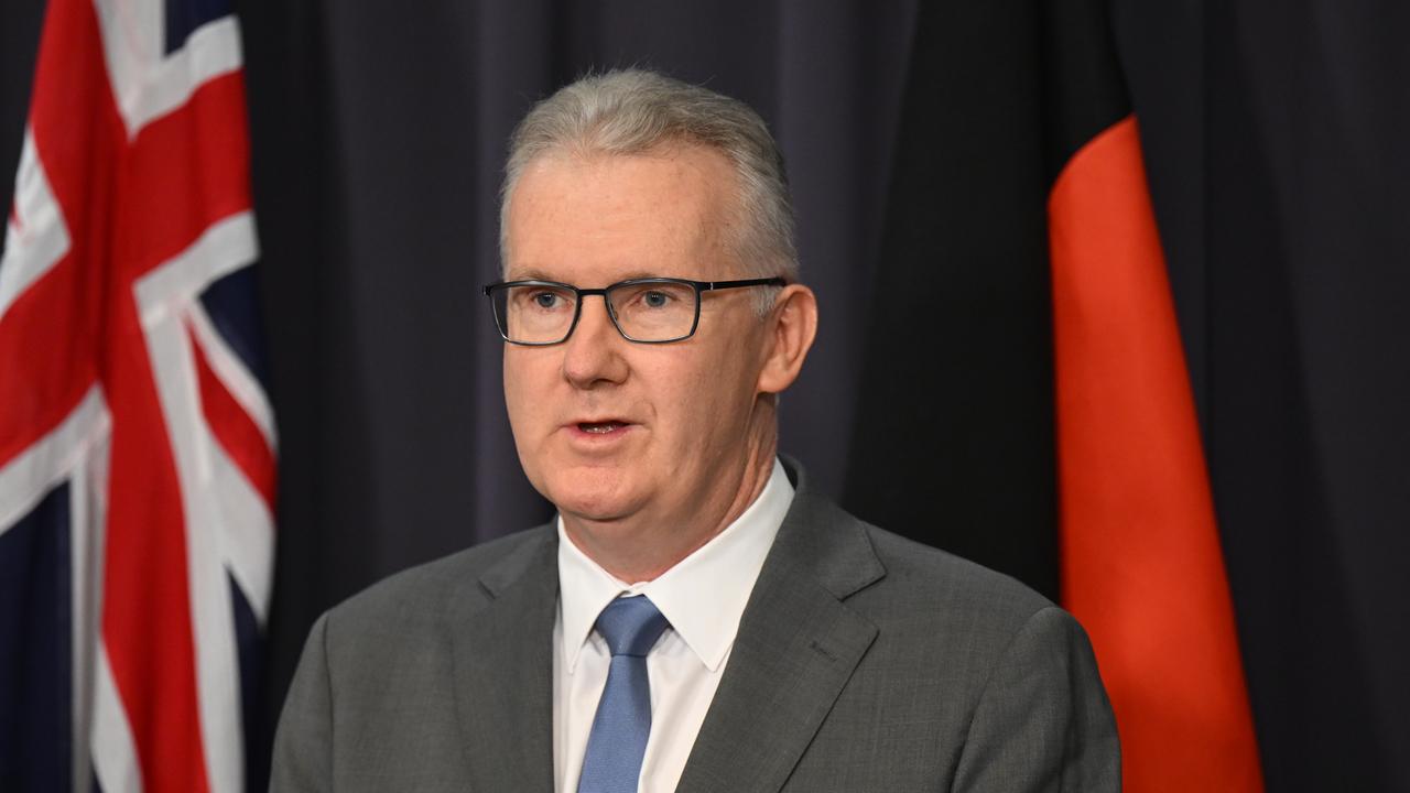 Home Affairs Minister Tony Burke