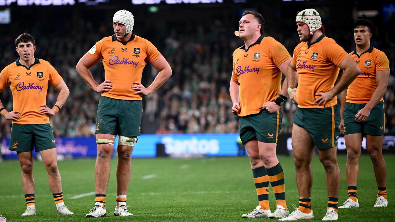 Wallabies.