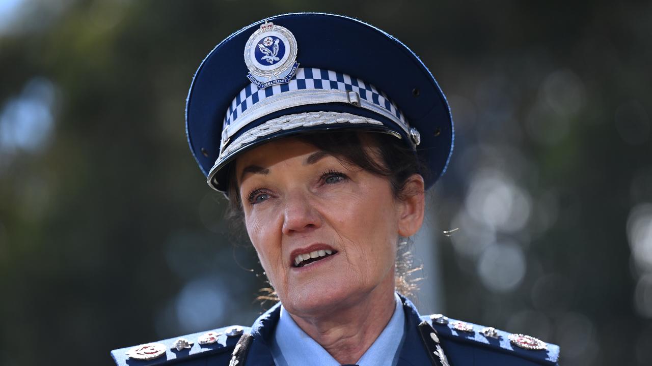 Karen Webb (file image)