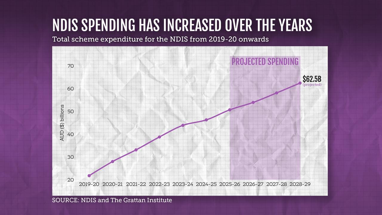 A graphic showing NDIS expenditure