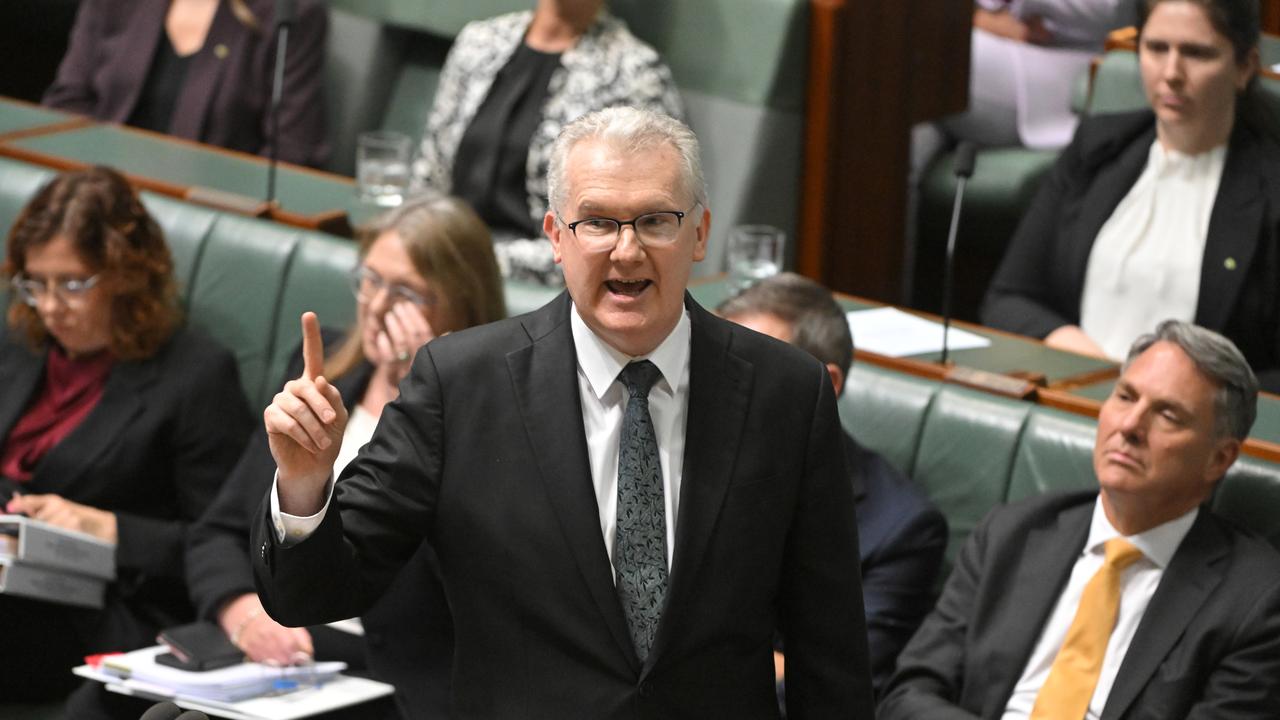 Minister for Home Affairs Tony Burke