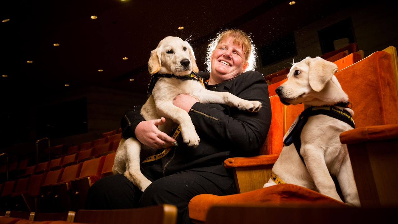 Deb Wells, and seeing-eye dogs