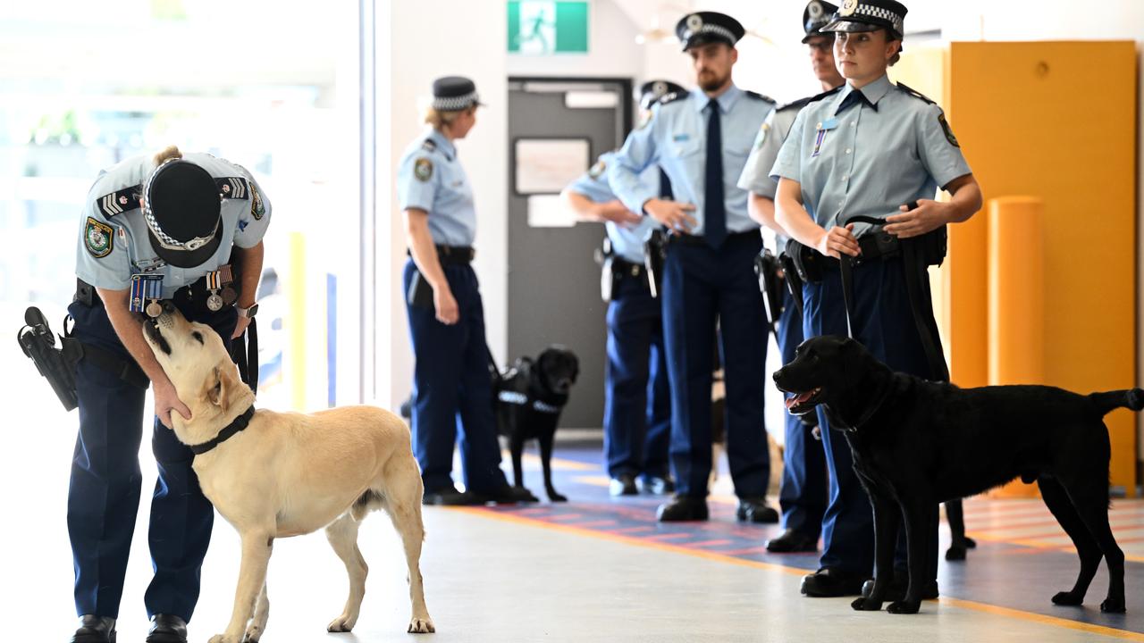 NSW Police dogs and their handlers
