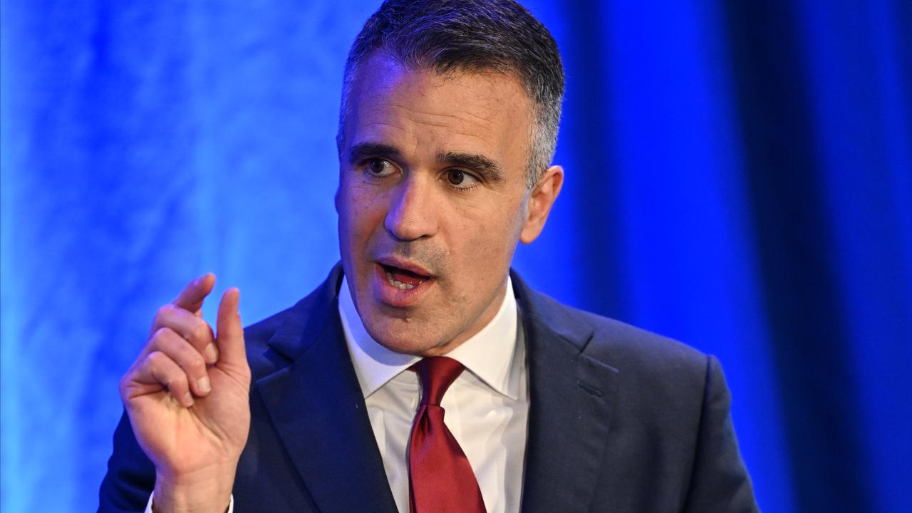Peter Malinauskas at lectern