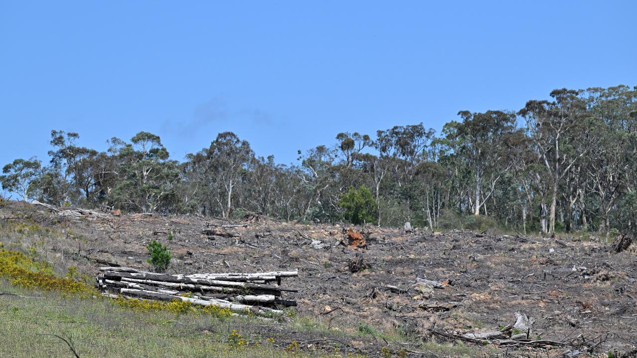Trees cleared between Bungendore and Queanbeyan in NSW