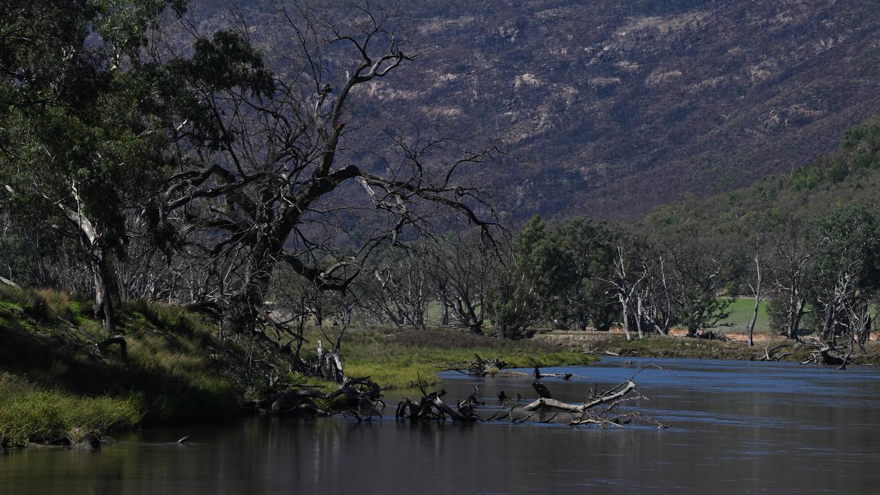 A section of the Murray River (file image)