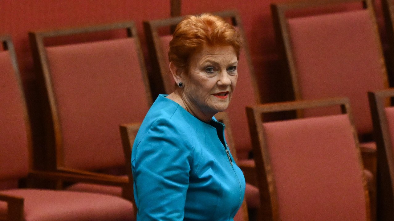 One Nation leader Pauline Hanson
