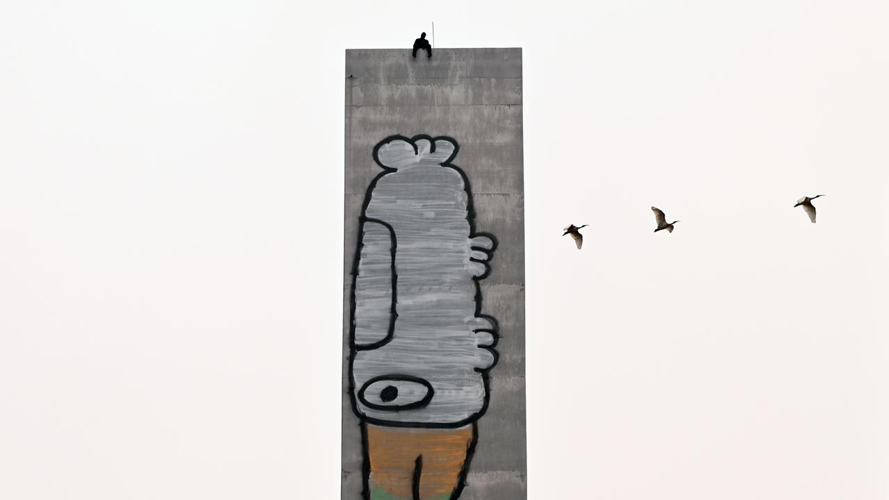 Pam the Bird graffiti 