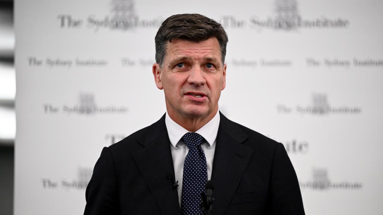Opposition Leader Angus Taylor (file image)