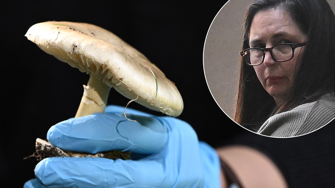 Erin patterson and a death cap