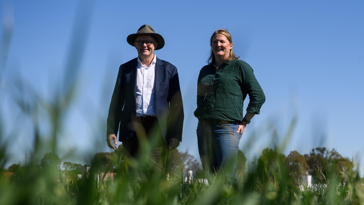 Anthony Albanese and Rebecca Reardon