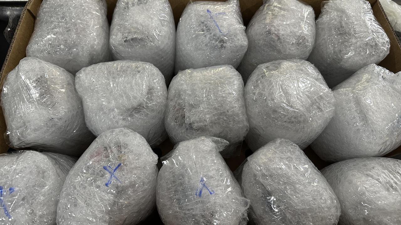 The emu eggs seized by authorities in Sydney