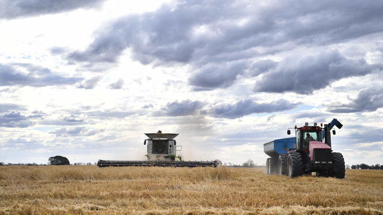 Wheat harvest (file)