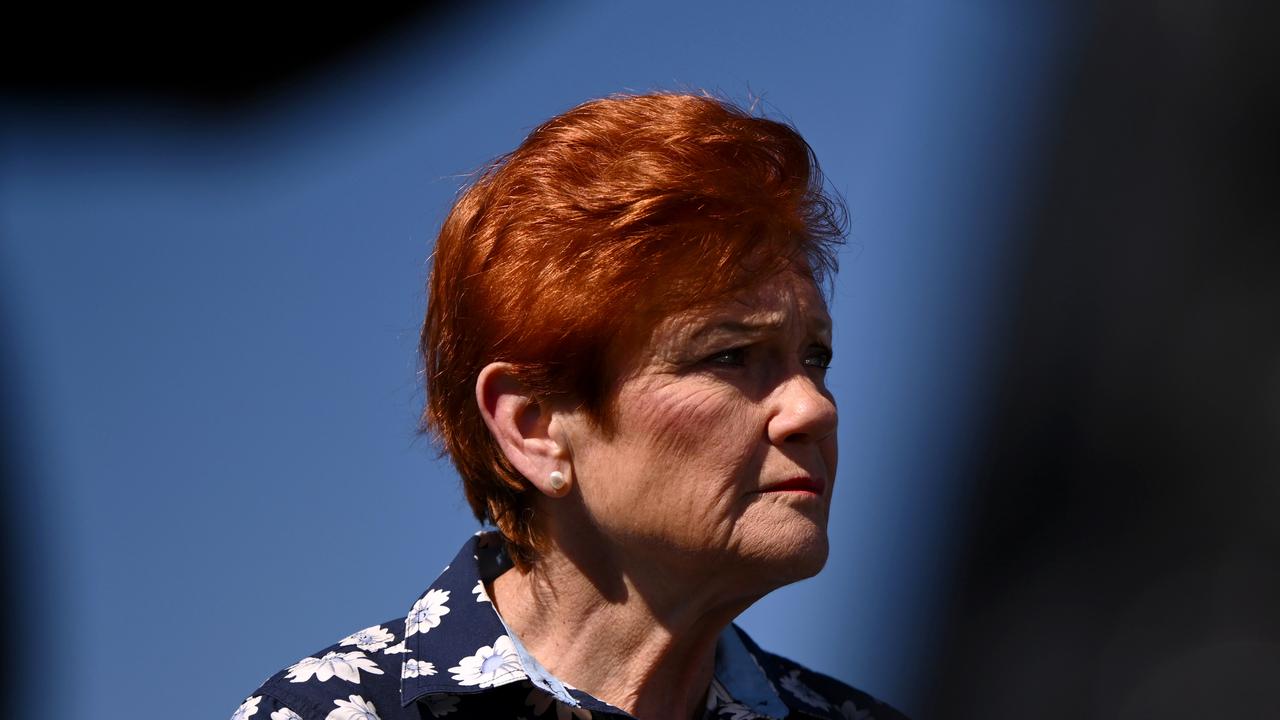 One Nation leader Pauline Hanson