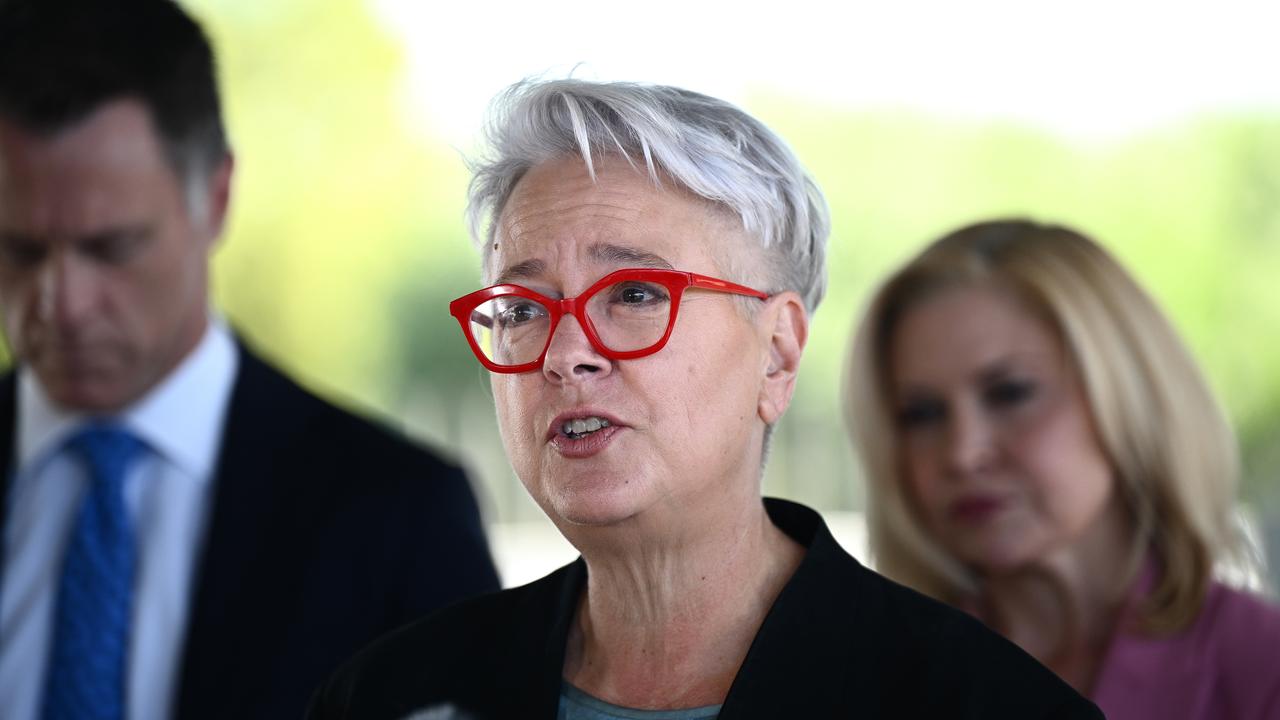 NSW Environment Minister Penny Sharpe (file image)