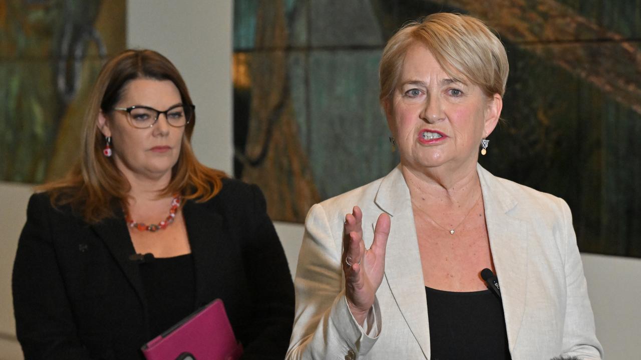 Sarah Hanson-Young and Barbara Pocock (file image)