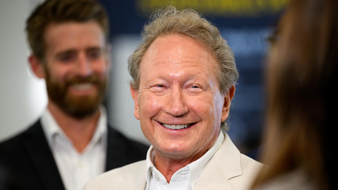 Andrew Forrest (file image)