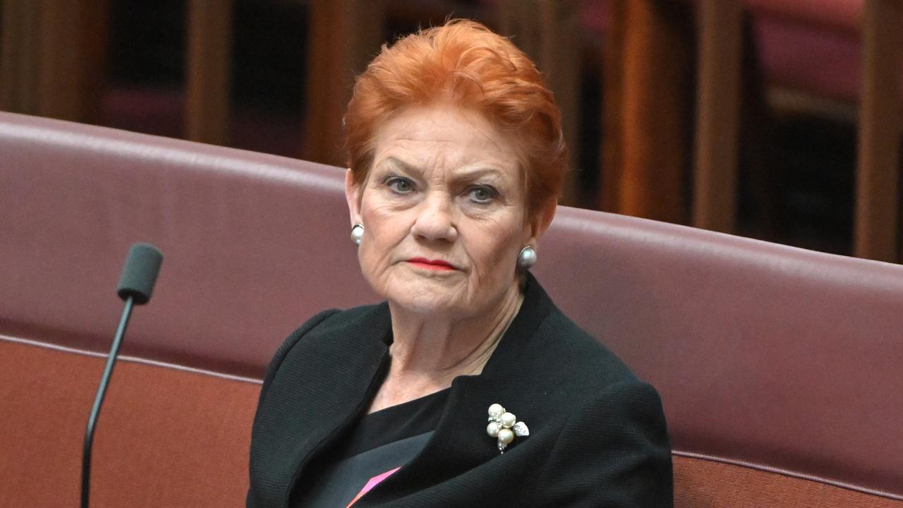 One Nation leader Pauline Hanson (file image)