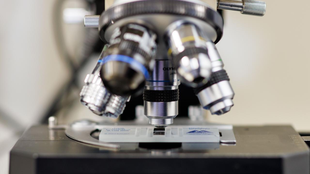 A microscope (file image)