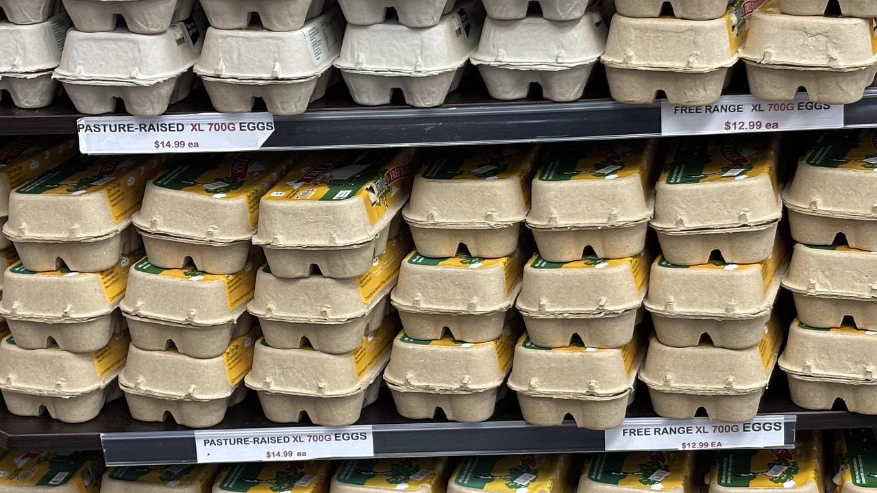 EGGS STOCK