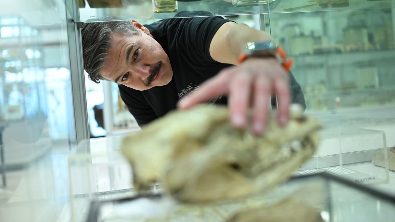 Professor Andrew Pask