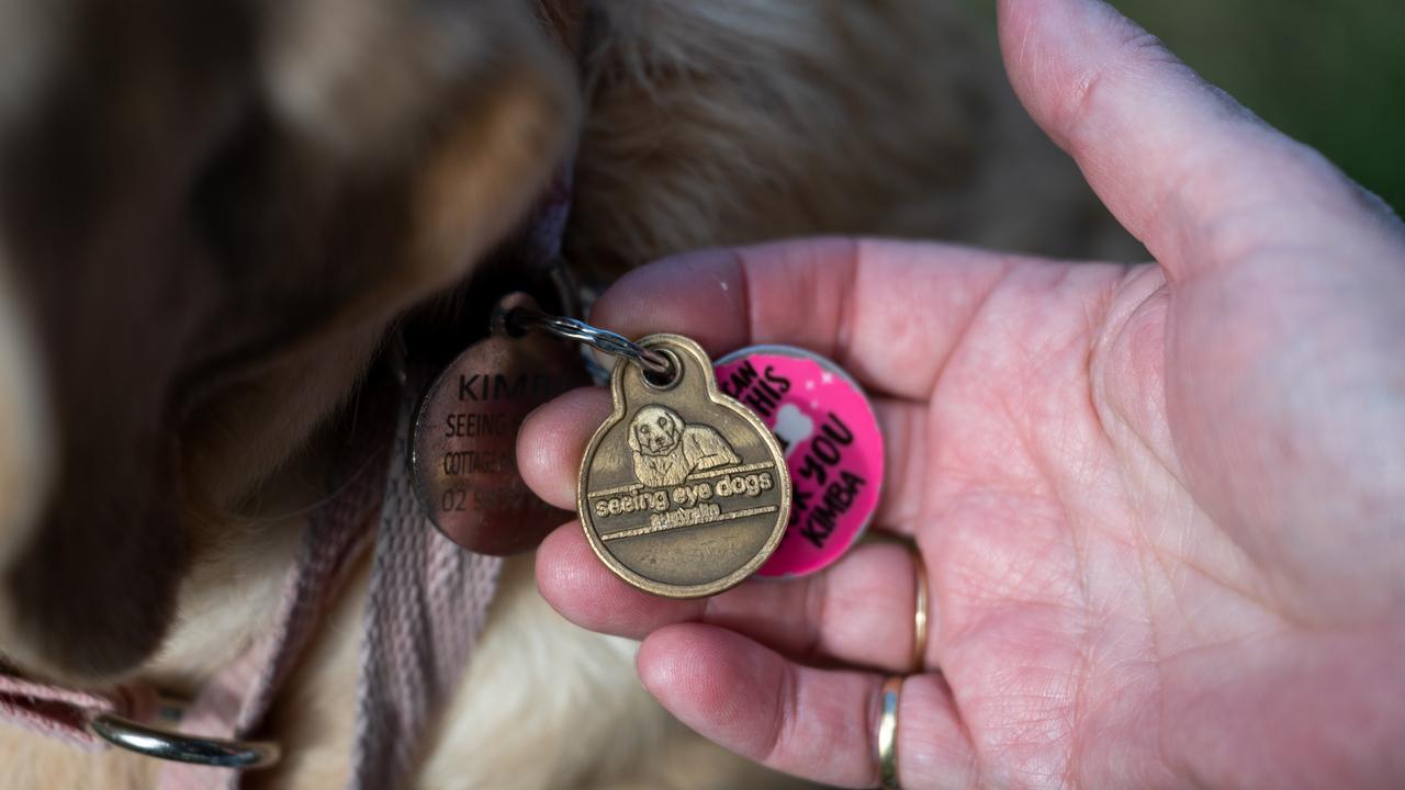 Seeing eye dog