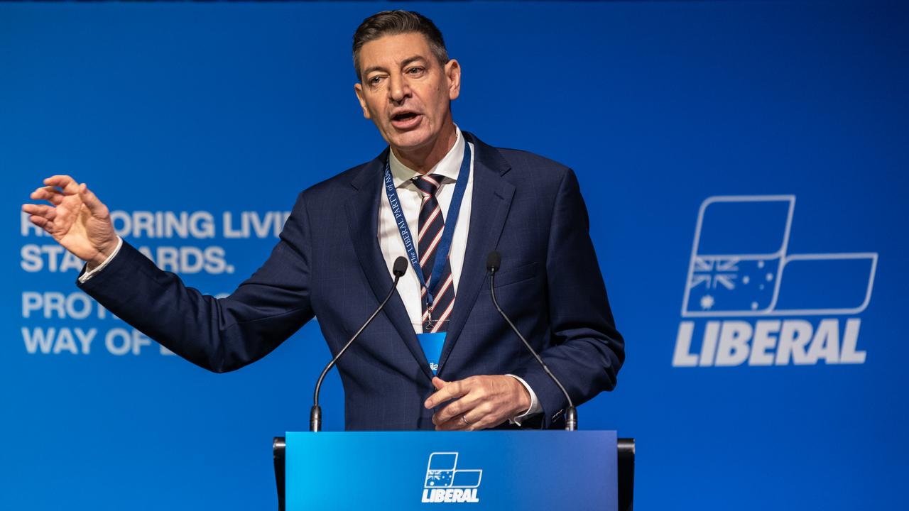 WA Liberals leader Basil Zempilas