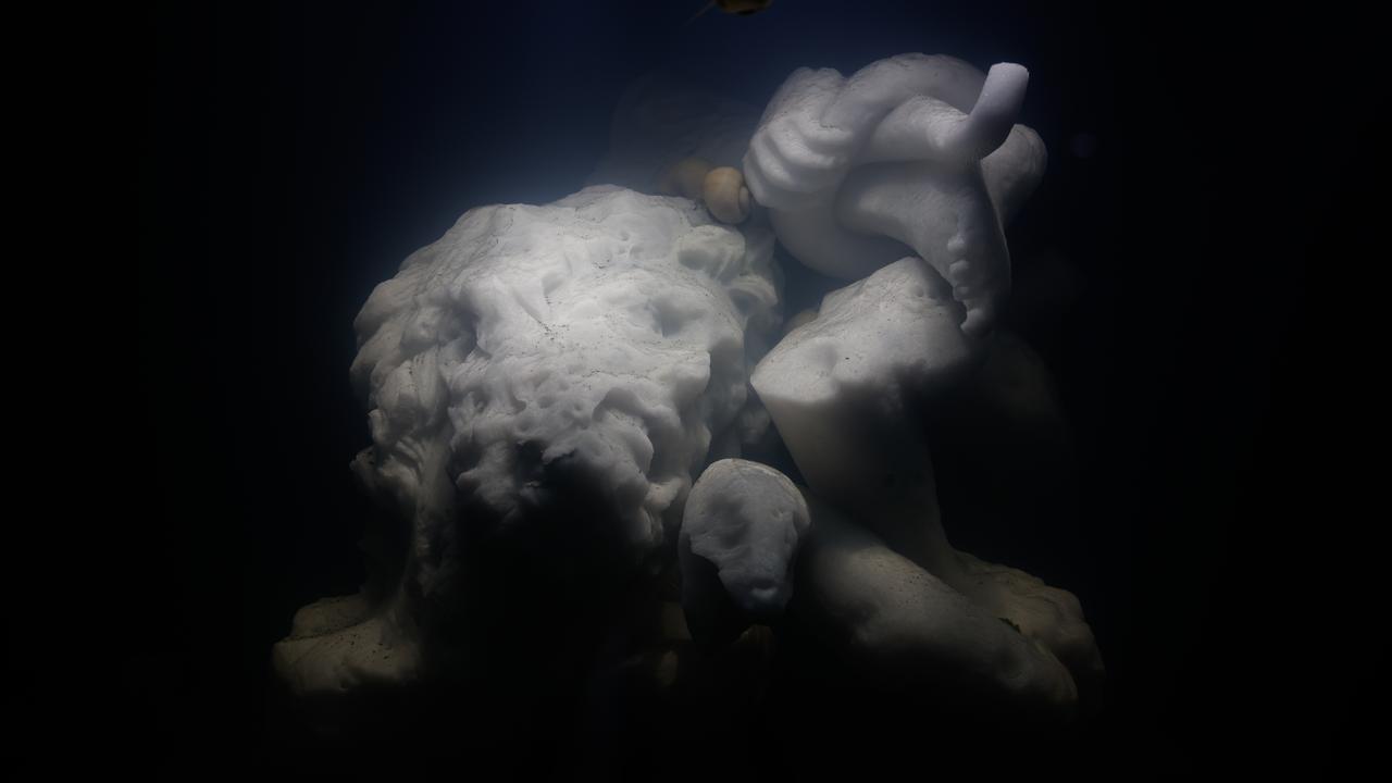 Snails feeding on marble statues