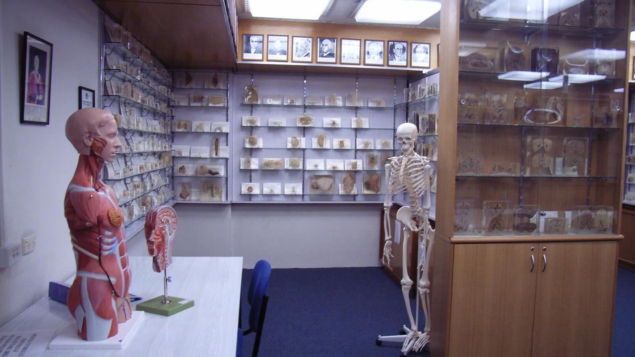 University of Tasmania's R.A. Rodda Museum