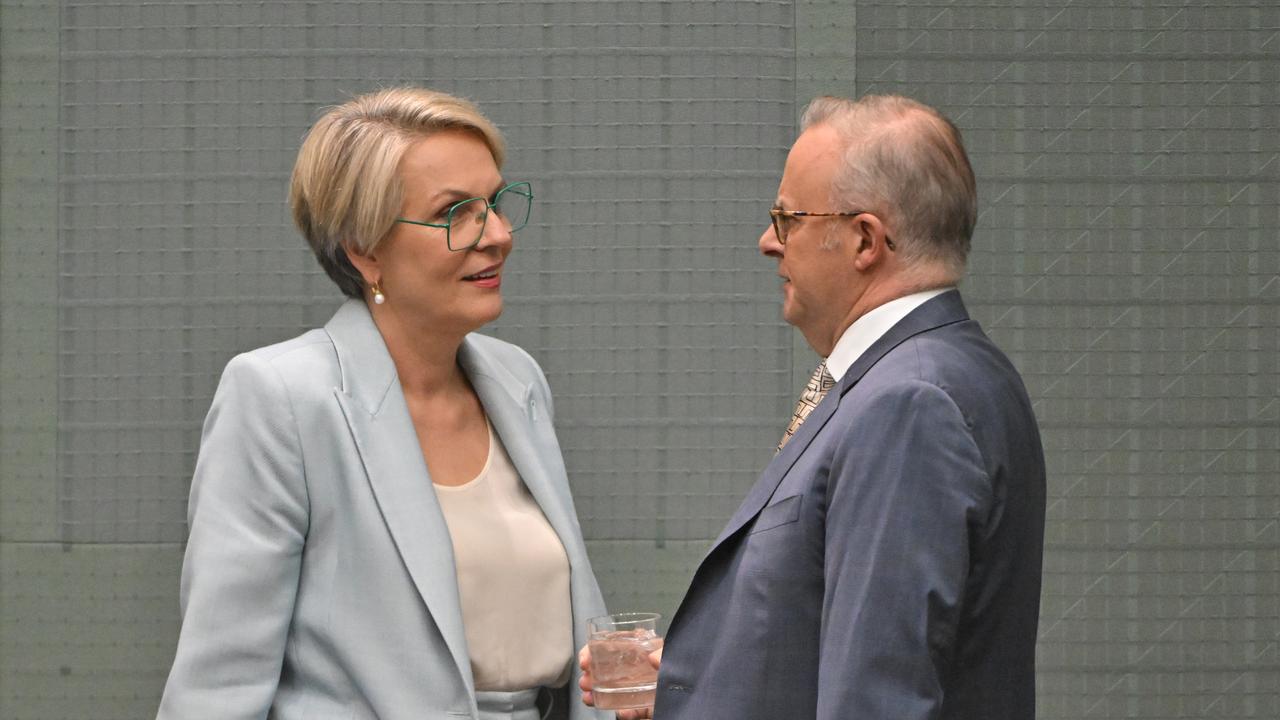 Social Services Minister Tanya Plibersek