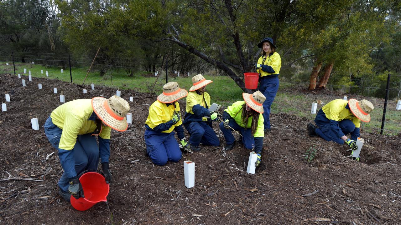volunteers 