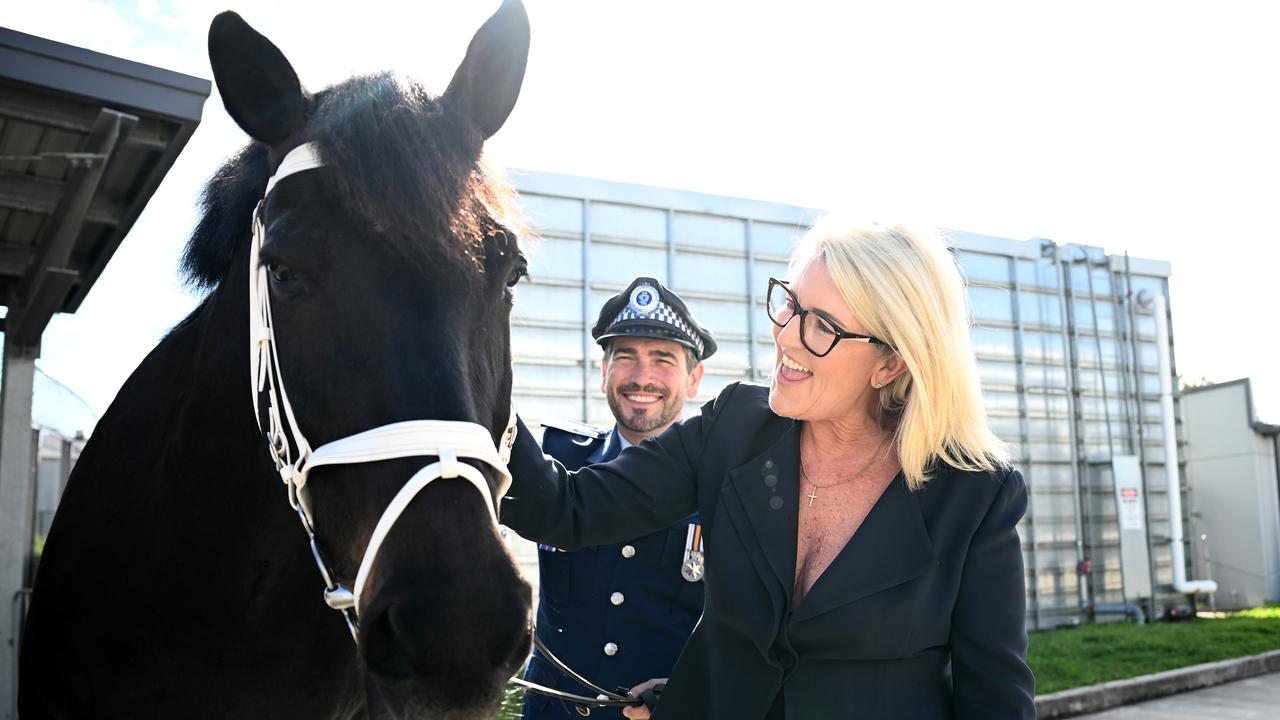 NSW Police Minister Yasmin Catley with horse Angus