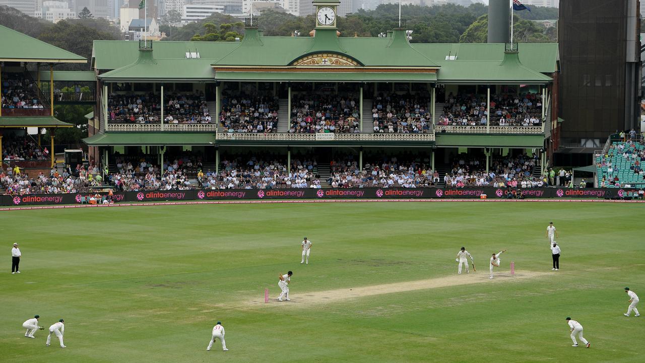Cricket