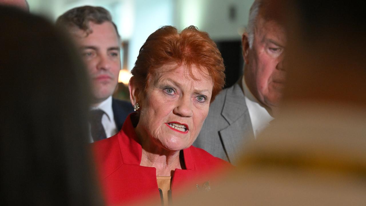 One Nation leader Pauline Hanson (file image)