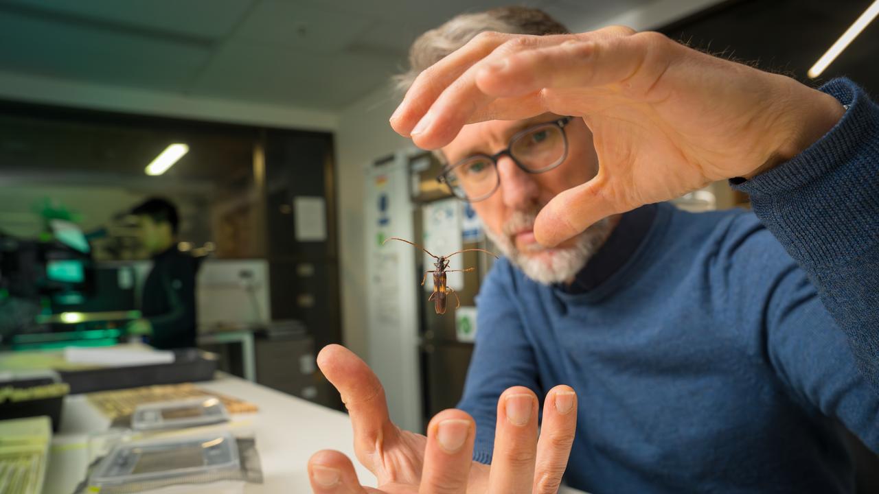Dr Matthew Brookhouse