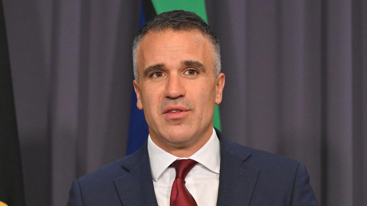 South Australian Premier Peter Malinauskas (file image)