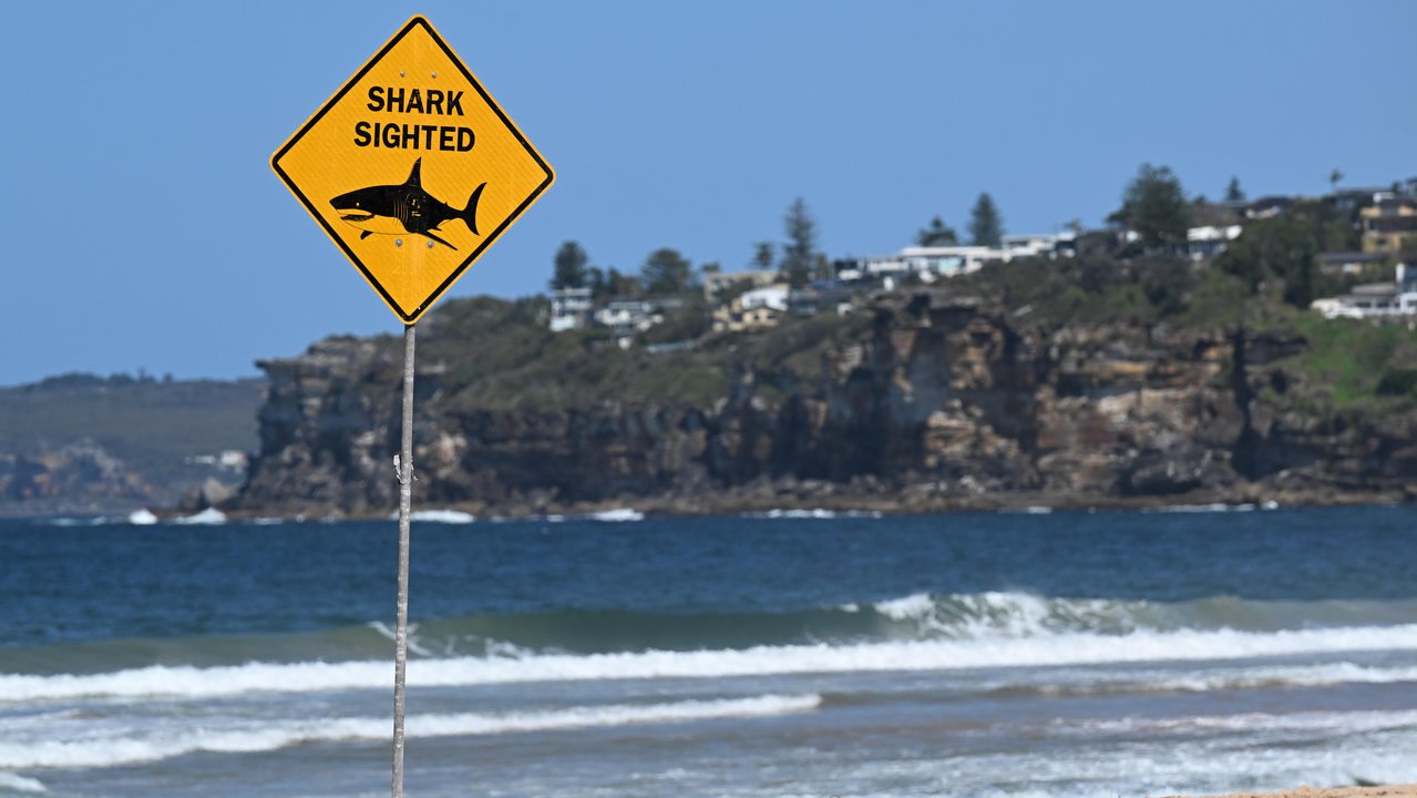 Beach closed signs at the scene of a fatal shark attack