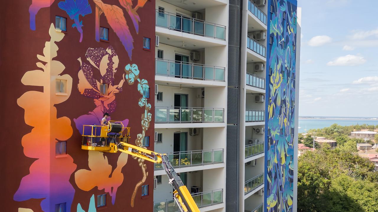 A wall mural in Darwin by artist George Rose.