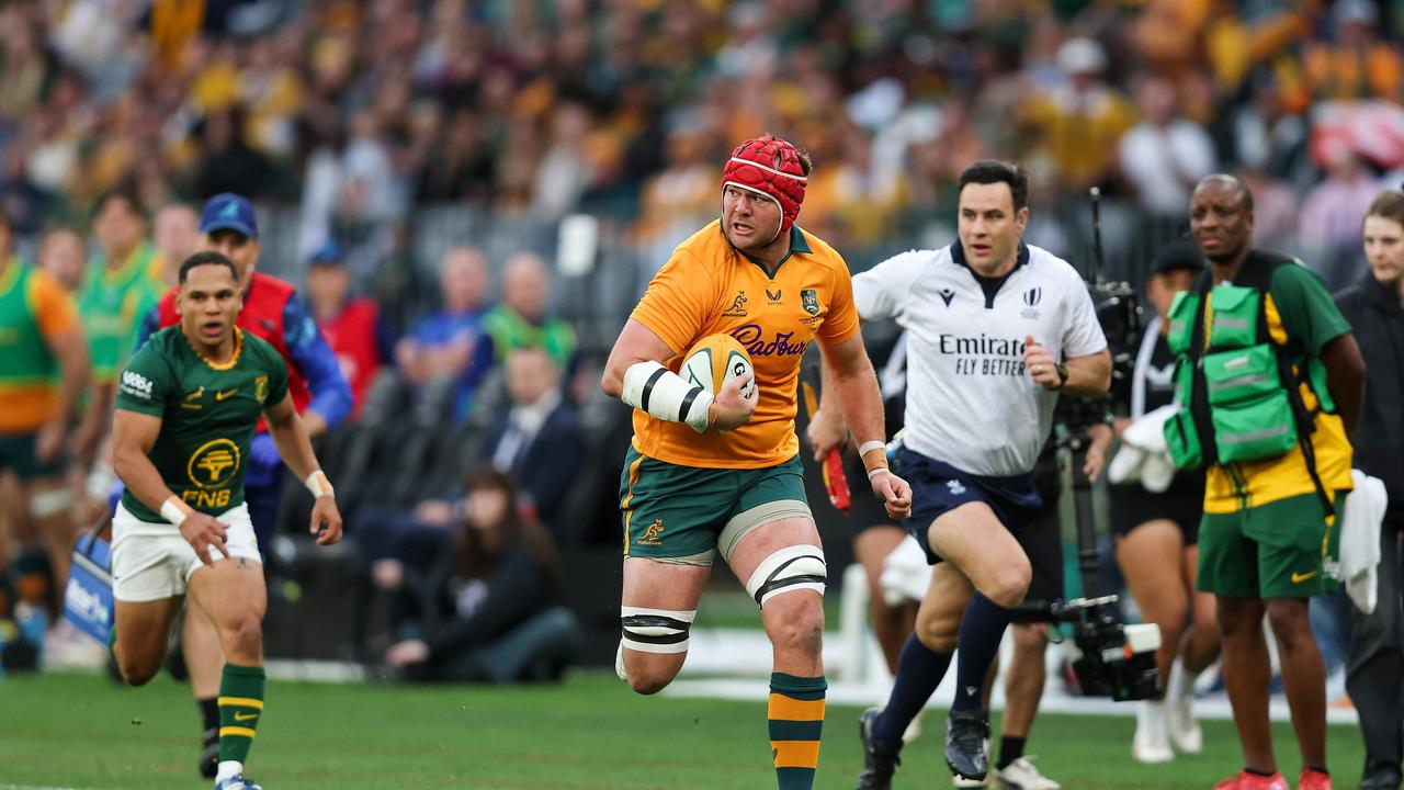 Wallabies