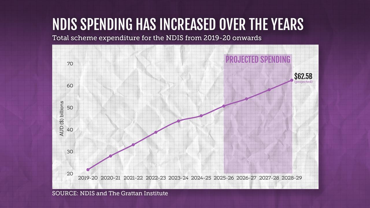 NDIS spending