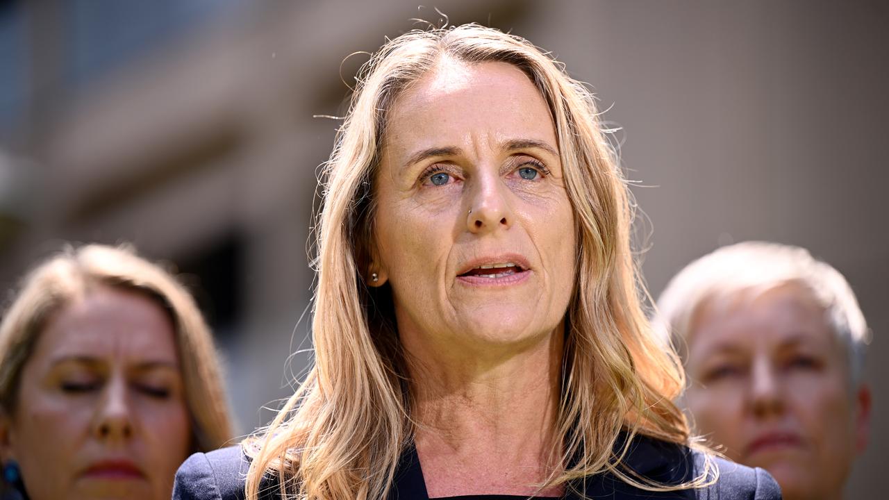 NSW Greens MP Sue Higginson (file image)